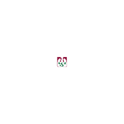 Logo Energa Indykpol AZS Olsztyn