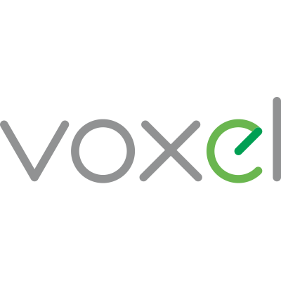 logo Voxel