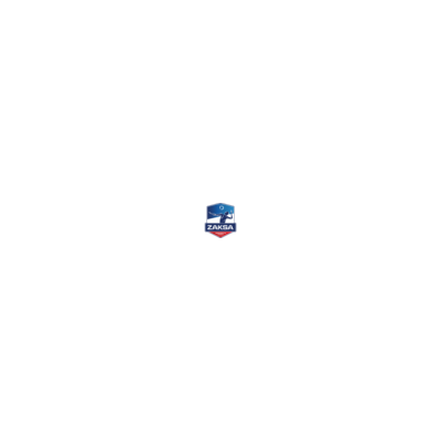 logo ZAKSA Kędzierzyn-Koźle