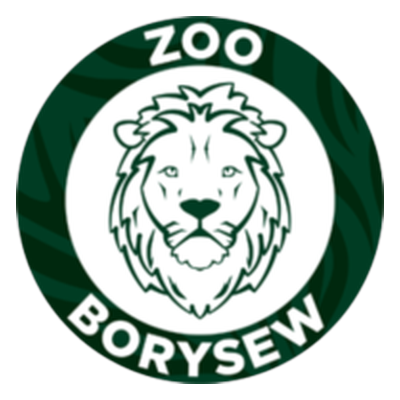 Logo Zoo Safari Borysew